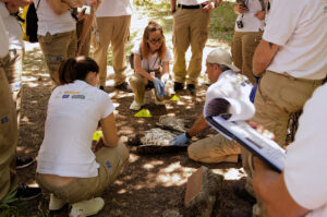 Wildlife Crime France